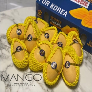 ��ǰ �� �̹���