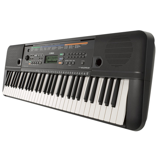 �߸��� PSR-E253