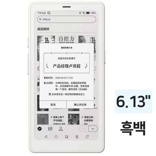 BOOX P6 플러스 해외구매