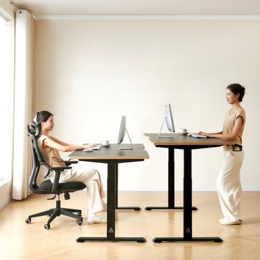 아우스 GE01 고강도 듀얼모터 모션 스탠딩 책상 (1600x700)_이미지
