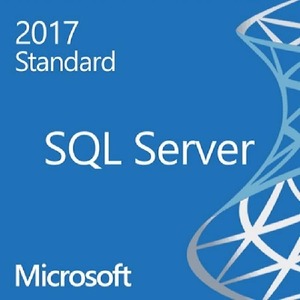 Microsoft SQL Server Standard 2017 기업용 (10CAL 라이선스)_이미지