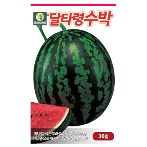 �ٳ� ��Ÿ�ɼ��ھ��� 200��