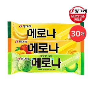 빙그레 메로나 10개 아이스크림