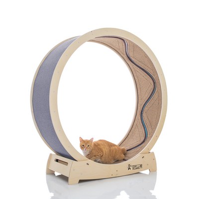 집사의반격 스타캣휠 물고기 1060 (+외부카페트)_이미지