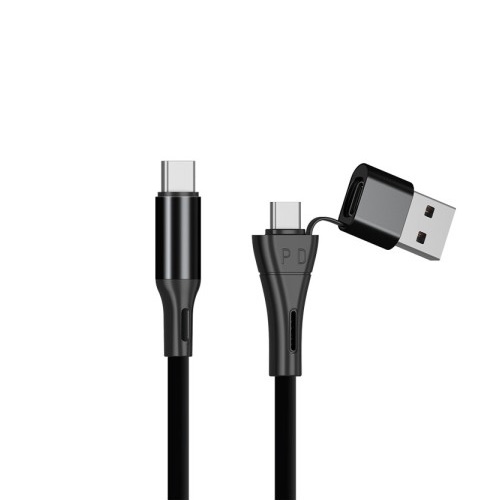 ���ξ��ý��� LANSTAR LS-U21C C to CŸ�� 2in1 ���̺�