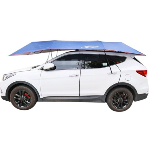 ����Ʈ������ ������ �Ķ�� ī���