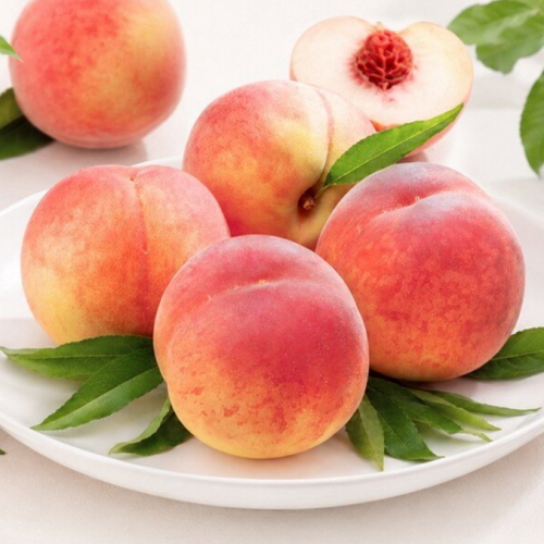 ���ȸ����ΰ��� ��� �Ͽ콺 �к����� �Ұ� 500g