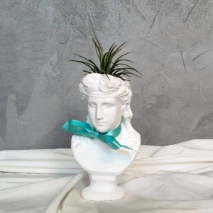 �𸮾�Ʈ �Ƹ��ƽ� ������ȭ�� ƿ����þ� �̿�����+��+����