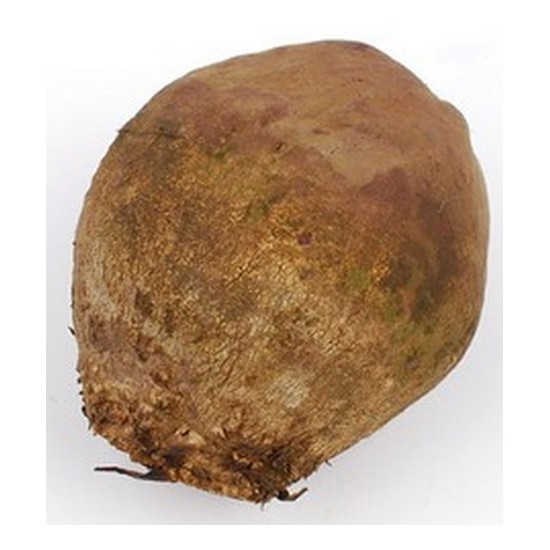 우리가락 알비트 10kg (1개)_이미지