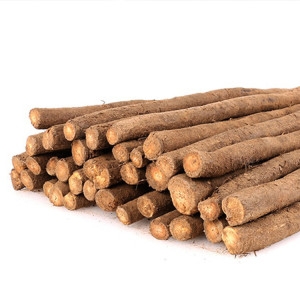 마캐는젊은농부들 안동 햇우엉 알뜰품 차용/굵은 것 2kg 짧고굵은우엉 우엉차용 가공용 휴지심굵기_이미지