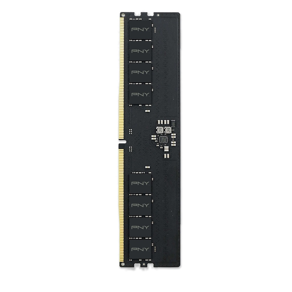 PNY DDR5-4800 Performance 제이씨현 (16GB)_이미지