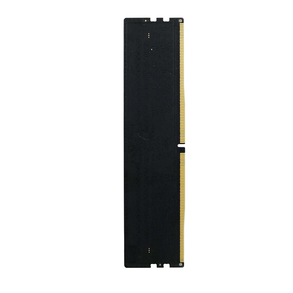 PNY DDR5-4800 Performance ���̾���