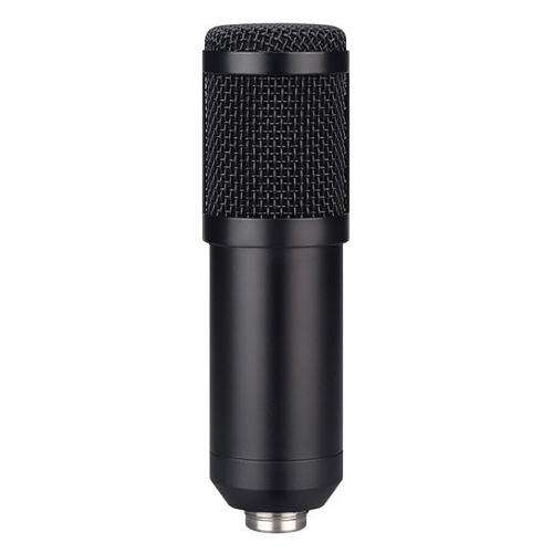 주닉스 BM-800 (+ 48V팬텀파워)_이미지