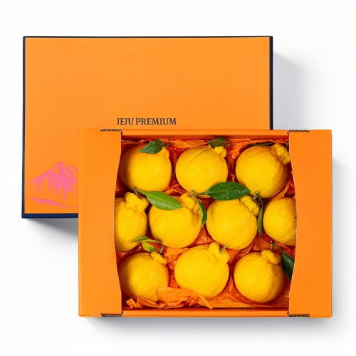 친환경팔도 명품제주 프리미엄 한라봉 선물세트 2.5kg 중과