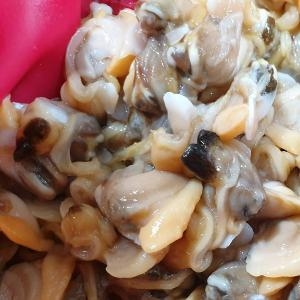 우체국쇼핑 여수명품바지락 91생물바지락살 500g