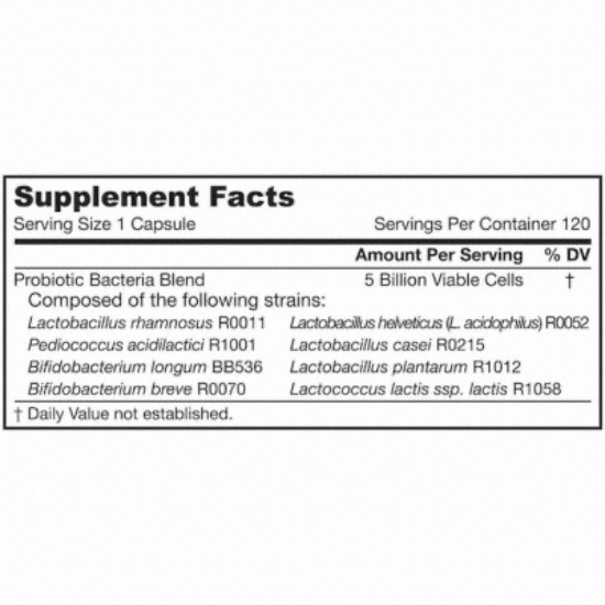 �ڷο����ķ��� �ڷο� ���Ƿ��� EPS 50�� ����� 120ĸ��