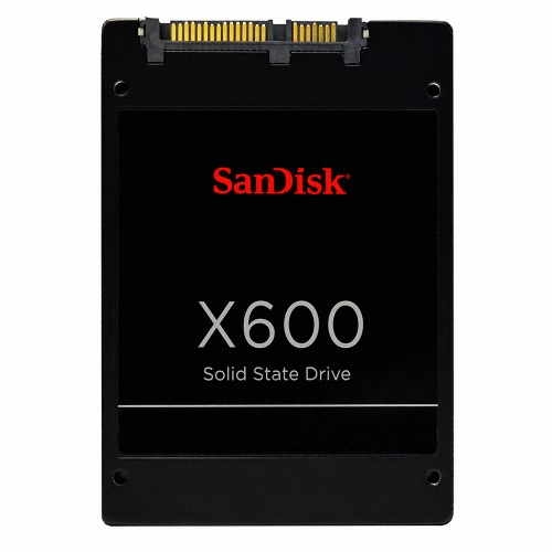 Sandisk X600