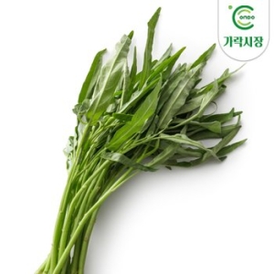 가락시장 경매 공심채 300g