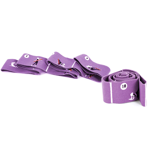 코리아스포츠 아이워너 가이드 밴드 (3단계, 비올라)_이미지