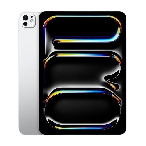 APPLE 2024 iPad Pro 11 M4+폴리오케이스 (256GB)_이미지