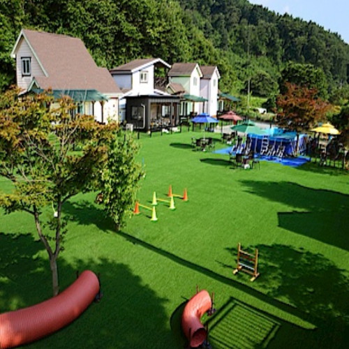 ㅤ양평 러브스토리 애견동반펜션 (경기)_이미지