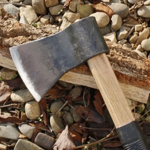 ������Ʈ ������ �յ��� ��ȭ