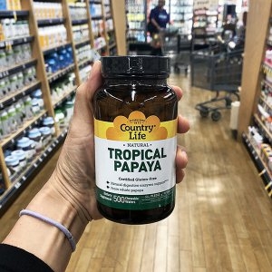 ��Ʈ�������� ��Ʈ�������� Ʈ����Į ���ľ� 500����