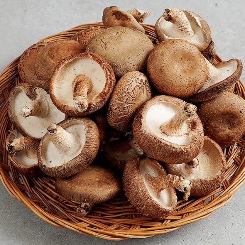 율스키친 생표고버섯 1kg (1개)_이미지
