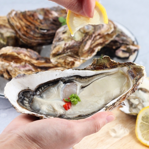 ��ǰ �� �̹���