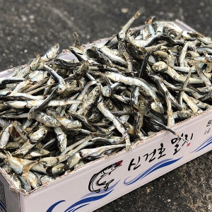 신건호멸치 중상급 가정용 다시멸치 1.5kg (1개)