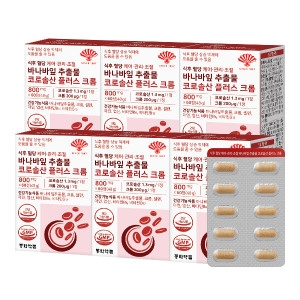 동화약품 식후 혈당 케어 관리 조절 바나바잎 추출물 코로솔산 플러스 크롬 6박스 360정