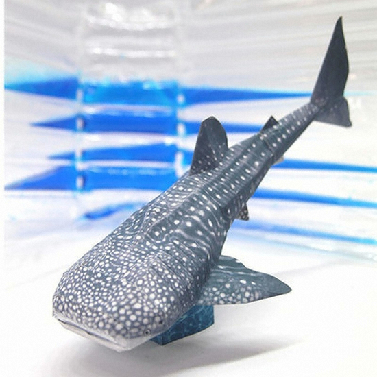 해피페이퍼 ㅤ고래상어_이미지