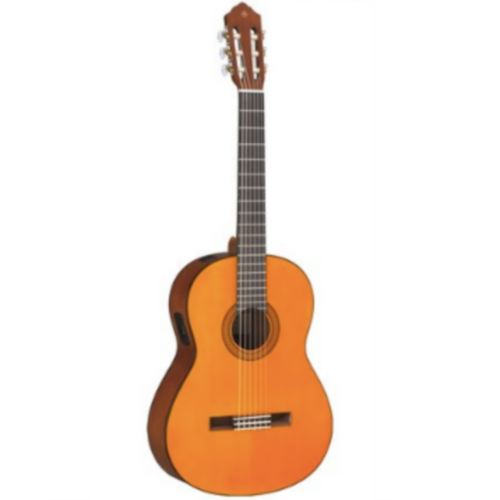 �߸��� CGX-102