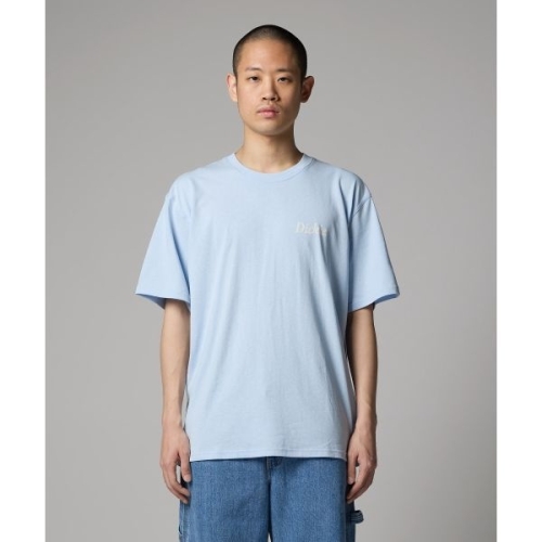 디키즈 lt판gt 컴패니언 스크립트 티셔츠 Skyway DK0A4Z92K54 121255