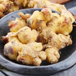 친환경팔도 2023 영주 햇 흙생강 3kg (1개)_이미지