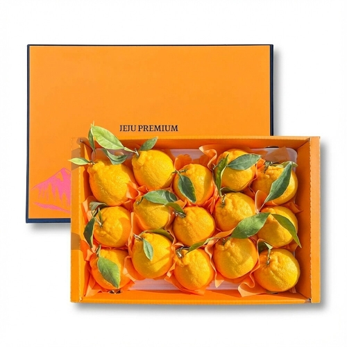 친환경팔도 명품제주 프리미엄 한라봉 선물세트 4.5kg 대과