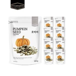 리치팜너트 호박씨 300g (9개)_이미지