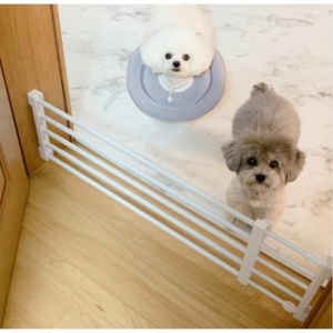 파파스 파파스 강아지울타리_이미지