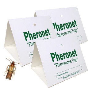 하이진에스 화랑곡 나방 트랩이미지입니다. 누르면 해당 게시물로 새창이동합니다.