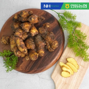 안동농협 안동 흙생강 10kg (1개)