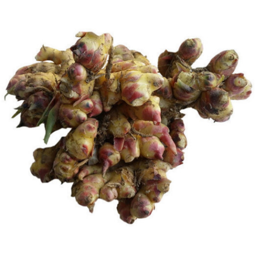 생강마트 봉동 개량종생강 1kg (1개)_이미지