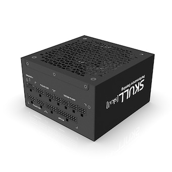 NEWZEN SKULL 1000XM ATX3.0 80PLUS골드