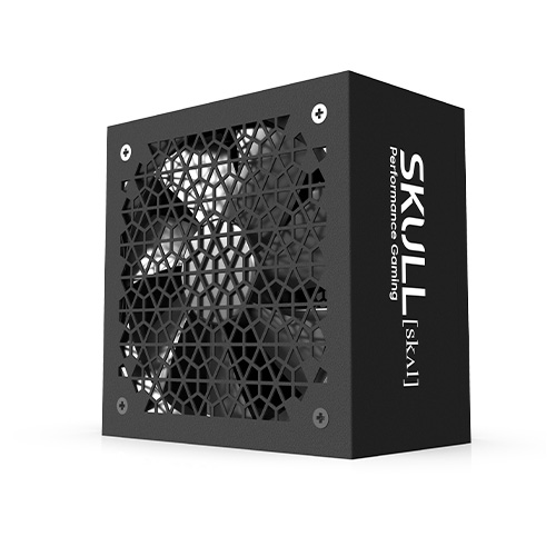 NEWZEN SKULL 1000XM ATX3.0 80PLUS���