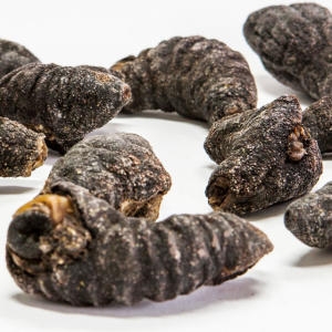 보담퓨어 보급형 건해삼 300g이미지입니다. 누르면 해당 게시물로 새창이동합니다.