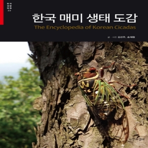 매미 생태 도감/자연과_이미지