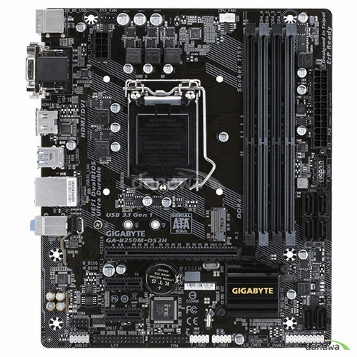 GIGABYTE GA-B250M-DS3H 듀러블에디션 피씨디렉트_이미지