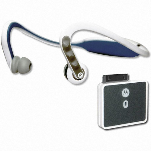 ����ζ� S10 ������ D650