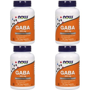 나우푸드 가바 500mg 100캡슐 (4개)_이미지