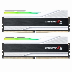 G.SKILL DDR5-6800 CL34 TRIDENT Z5 RGB J 실버 [32GB(16Gx2)]