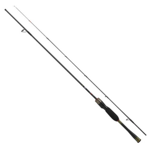 ���̿� ���Ϲ��� MX ��¡, 2025����